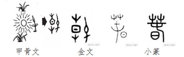 未命名_副本_20240305_17096321903138670