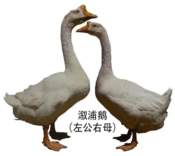 79346192cba2123c928440c5e4416c7