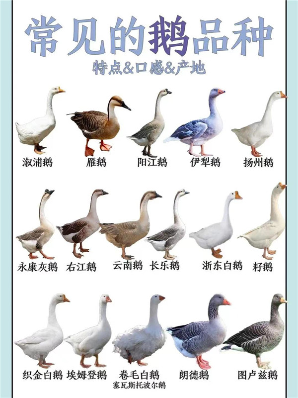 fc9cad74ac1bf04f432f19e97e122b7