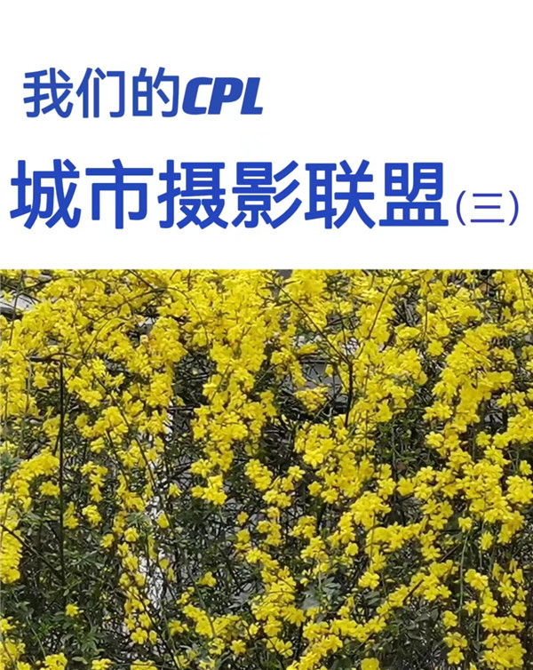 a0cc0b8a22e268ccff9e2525984f693