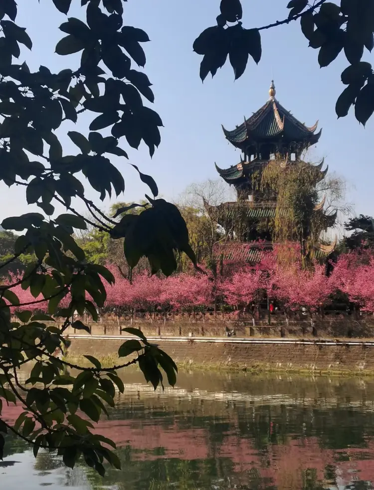 下载_20240717_17212259214574760