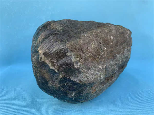 中国首次发现定向火星陨石（Chassignite纯橄无球粒火星陨石）