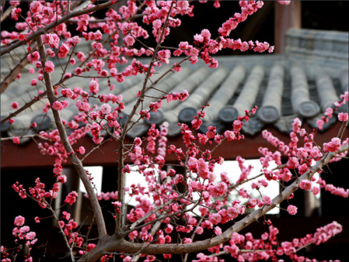 f44d30758ab021b18b3712 (1)