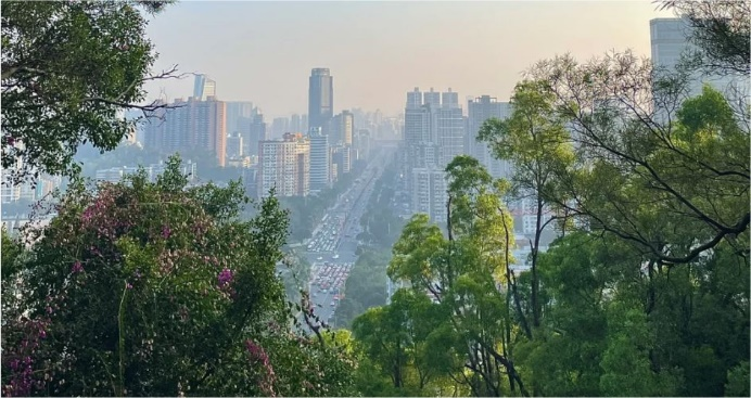 图片10